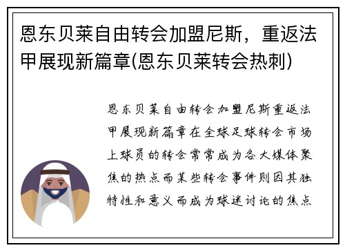恩东贝莱自由转会加盟尼斯，重返法甲展现新篇章(恩东贝莱转会热刺)