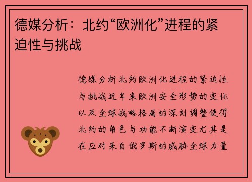 德媒分析：北约“欧洲化”进程的紧迫性与挑战